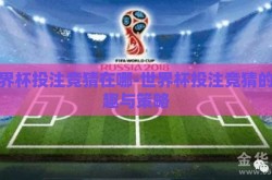 世界杯投注竞猜在哪-世界杯投注竞猜的乐趣与策略