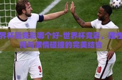 世界杯玩竞彩哪个好-世界杯竞彩，理性选择与激情碰撞的完美结合