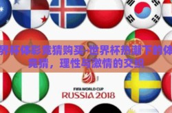 世界杯体彩竞猜购买-世界杯热潮下的体彩竞猜，理性与激情的交织