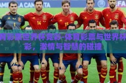 体育彩票世界杯竞彩-体育彩票与世界杯竞彩，激情与智慧的碰撞