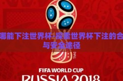 在哪能下注世界杯-探索世界杯下注的合法与安全途径
