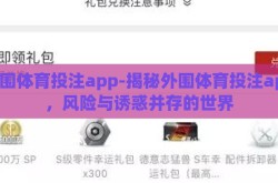 外围体育投注app-揭秘外围体育投注app，风险与诱惑并存的世界