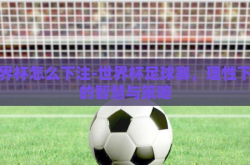 世界杯怎么下注-世界杯足球赛，理性下注的智慧与策略