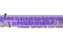 中国体育彩票 投注-探索中国体育彩票投注的多元魅力与理性参与