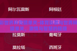体彩世界杯竞猜单关-体育彩票与世界杯竞猜单关，激情与智慧的碰撞
