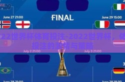 2022世界杯体育投注-2022世界杯，体育投注的激情与策略