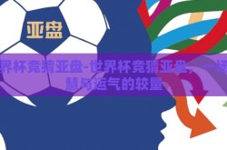 世界杯竞猜亚盘-世界杯竞猜亚盘，一场智慧与运气的较量