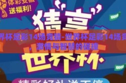 世界杯足彩14场竞猜-世界杯足彩14场竞猜，激情与智慧的碰撞