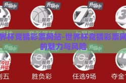 世界杯竞猜彩票网站-世界杯竞猜彩票网站的魅力与风险