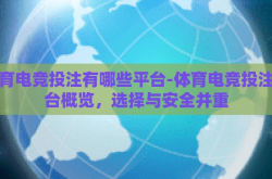 体育电竞投注有哪些平台-体育电竞投注平台概览，选择与安全并重