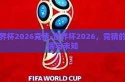 世界杯2026竞猜-世界杯2026，竞猜的激情与未知