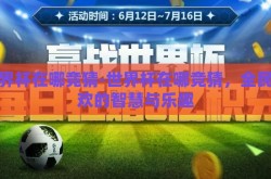 世界杯在哪竞猜-世界杯在哪竞猜，全民狂欢的智慧与乐趣