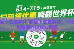 微信下注世界杯-微信下注世界杯，一场虚拟赌博的狂欢与警示