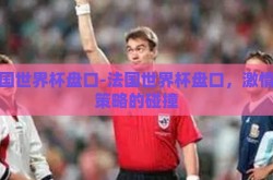 法国世界杯盘口-法国世界杯盘口，激情与策略的碰撞
