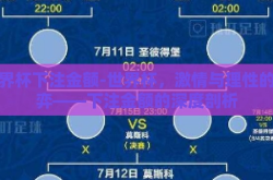 世界杯下注金额-世界杯，激情与理性的博弈——下注金额的深度剖析