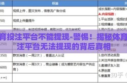 体育投注平台不能提现-警惕！揭秘体育投注平台无法提现的背后真相