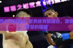 世界杯竞猜擂台-世界杯竞猜擂台，激情与智慧的碰撞