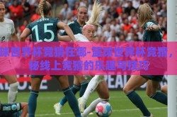 篮球世界杯竞猜在哪-篮球世界杯竞猜，揭秘线上竞猜的乐趣与技巧