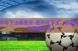 世界杯下注哪里好-世界杯下注，明智选择与策略分析
