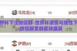 世界杯下注微信群-世界杯激情与理性下注，微信群里的足球盛宴