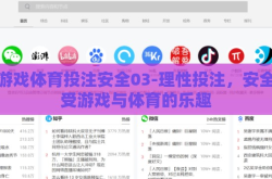 爱游戏体育投注安全03-理性投注，安全享受游戏与体育的乐趣