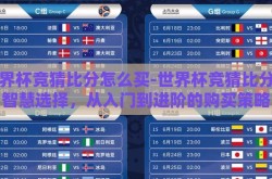 世界杯竞猜比分怎么买-世界杯竞猜比分的智慧选择，从入门到进阶的购买策略