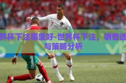 世界杯下注哪里好-世界杯下注，明智选择与策略分析
