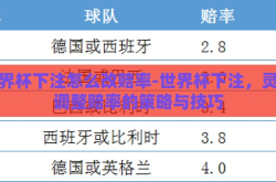 世界杯下注怎么改赔率-世界杯下注，灵活调整赔率的策略与技巧