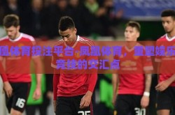 凤凰体育投注平台-凤凰体育，重塑娱乐与竞技的交汇点