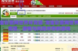 淘宝彩票网世界杯竞猜-淘宝彩票网世界杯竞猜，激情与风险并存的游戏