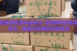深圳体育彩票电话投注-深圳体育彩票电话投注，便捷与乐趣的完美结合