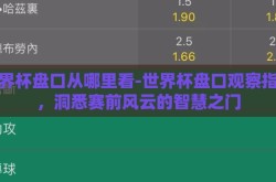 世界杯盘口从哪里看-世界杯盘口观察指南，洞悉赛前风云的智慧之门