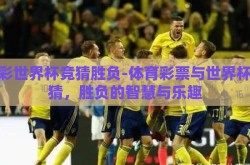 体彩世界杯竞猜胜负-体育彩票与世界杯竞猜，胜负的智慧与乐趣