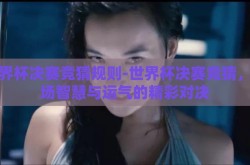 世界杯决赛竞猜规则-世界杯决赛竞猜，一场智慧与运气的精彩对决
