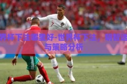 世界杯下注哪里好-世界杯下注，明智选择与策略分析