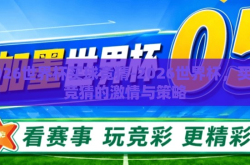2026世界杯买球竞猜-2026世界杯，买球竞猜的激情与策略