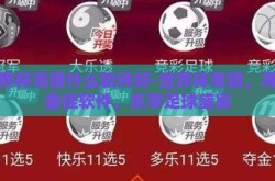 世界杯竞猜什么软件好-世界杯竞猜，寻找最佳软件，乐享足球盛宴