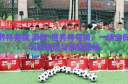 世界杯竞猜 游戏-世界杯竞猜，一场全民参与的智慧与激情盛宴
