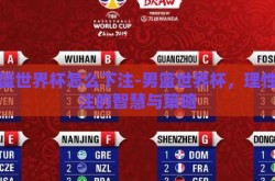男篮世界杯怎么下注-男篮世界杯，理性投注的智慧与策略