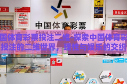 中国体育彩票投注二维-探索中国体育彩票投注的二维世界，理性与娱乐的交织