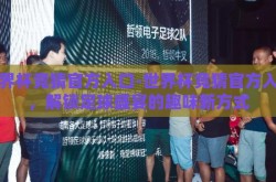 世界杯竞猜官方入口-世界杯竞猜官方入口，解锁足球盛宴的趣味新方式