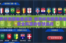 世界杯竞猜哪里买票-世界杯竞猜票务指南，安全购票的智慧选择