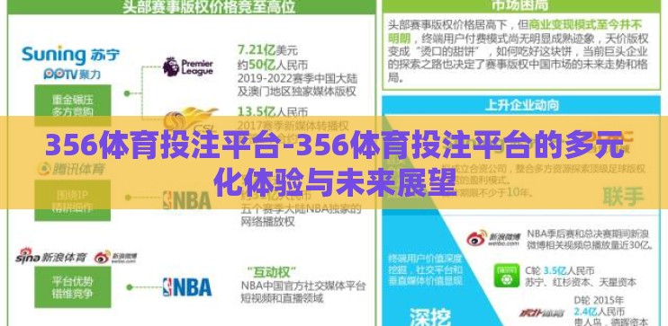 356体育投注平台-356体育投注平台的多元化体验与未来展望