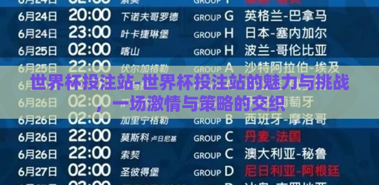 世界杯投注站-世界杯投注站的魅力与挑战，一场激情与策略的交织