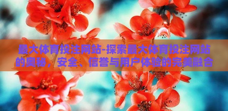 最大体育投注网站-探索最大体育投注网站的奥秘，安全、信誉与用户体验的完美融合