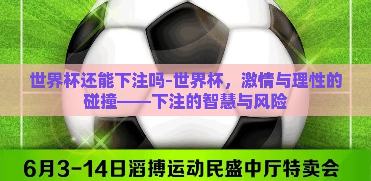 世界杯还能下注吗-世界杯，激情与理性的碰撞——下注的智慧与风险