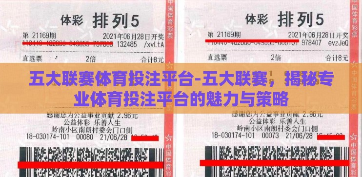五大联赛体育投注平台-五大联赛，揭秘专业体育投注平台的魅力与策略