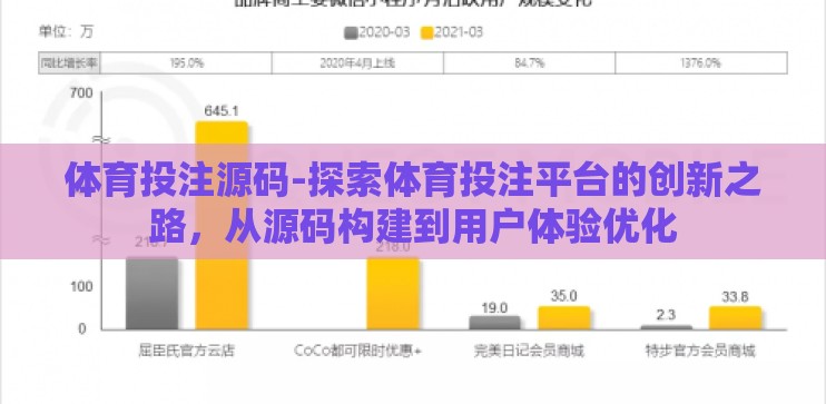体育投注源码-探索体育投注平台的创新之路，从源码构建到用户体验优化