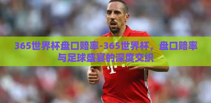 365世界杯盘口赔率-365世界杯，盘口赔率与足球盛宴的深度交织