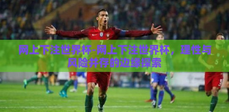 网上下注世界杯-网上下注世界杯，理性与风险并存的边缘探索